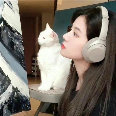 情深几许
